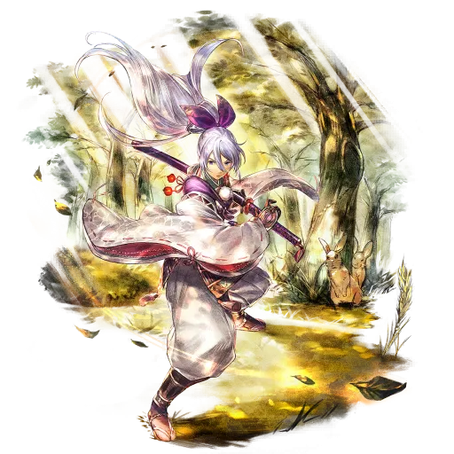 Aoi (COTC)