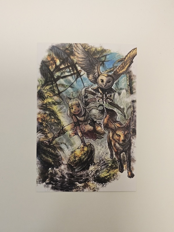 Postcard Ochette